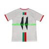 Maillot de Foot Club Deportivo Palestino Center Stripre Exterieur 2024/25